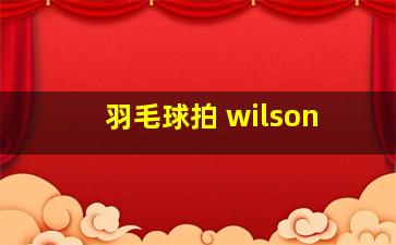 羽毛球拍 wilson